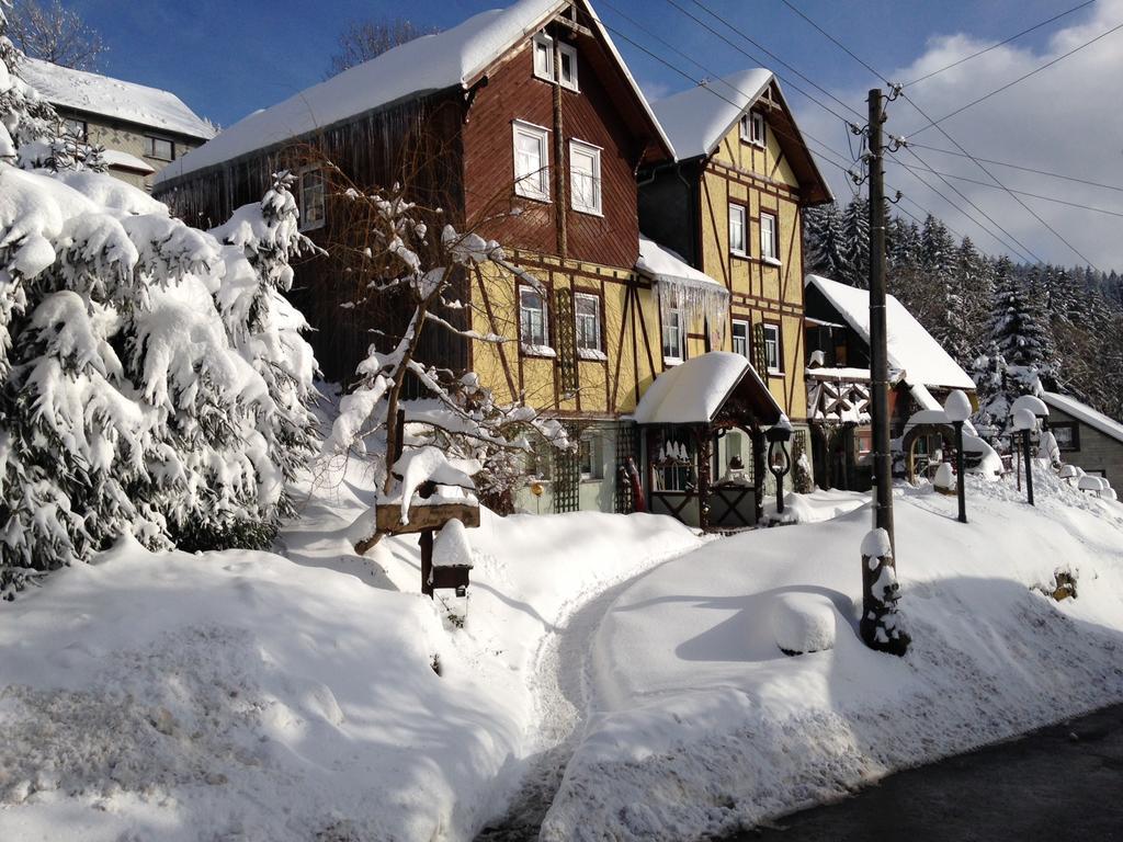 Apartment Haus Rennsteigrose *